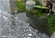 污水處理廠進水口水質(zhì)、出水口水質(zhì)12項必檢項目指標